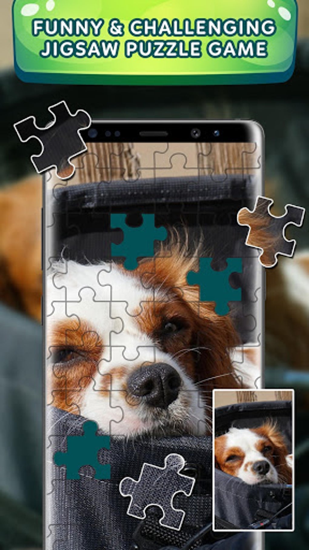 Offline Jigsaw Puzzles To